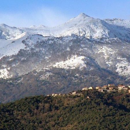 Casa Bonino Hotell Prunelli-di-Fiumorbo Exteriör bild