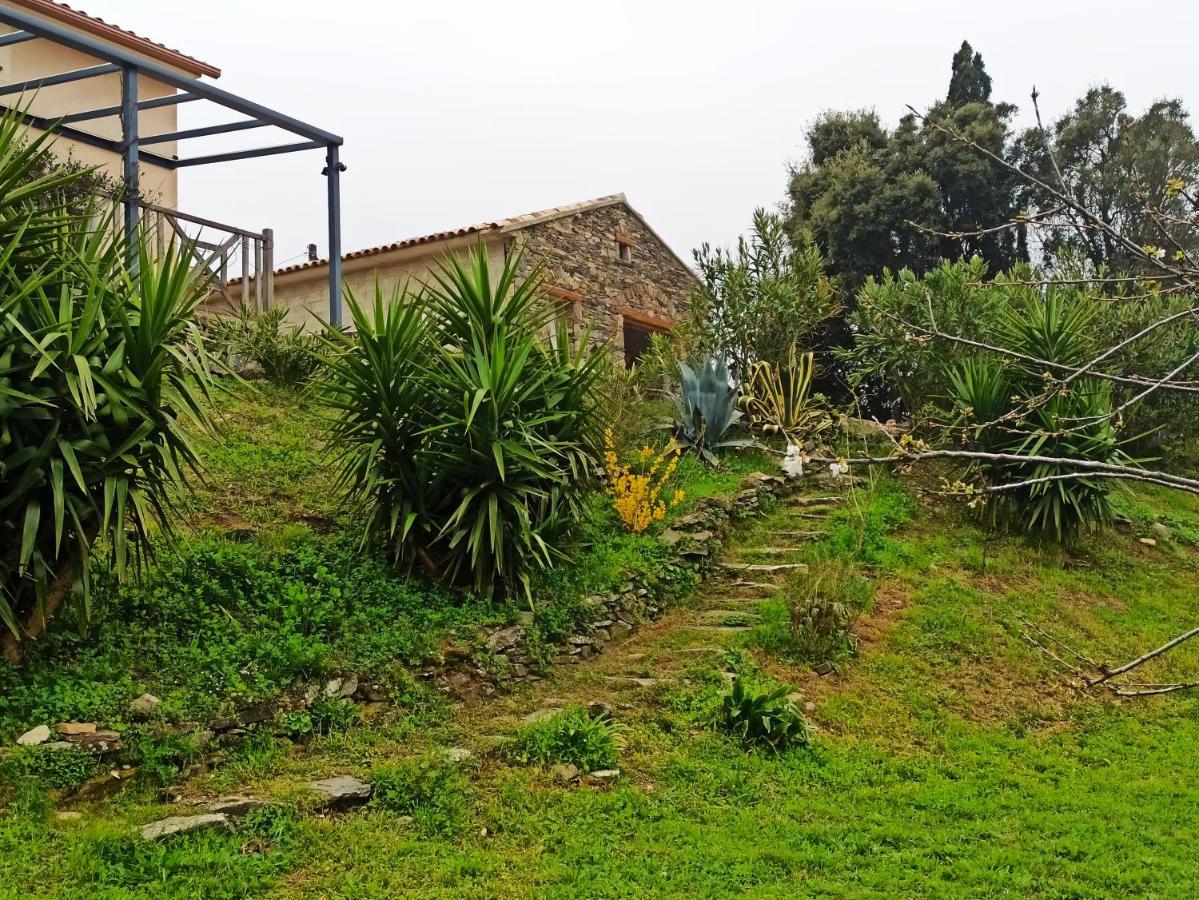 Casa Bonino Hotell Prunelli-di-Fiumorbo Exteriör bild