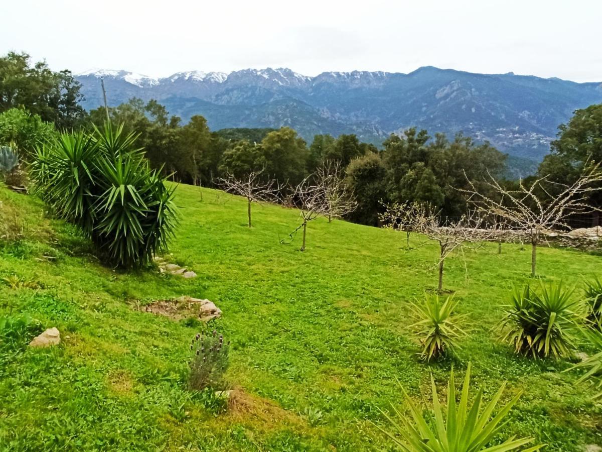 Casa Bonino Hotell Prunelli-di-Fiumorbo Exteriör bild
